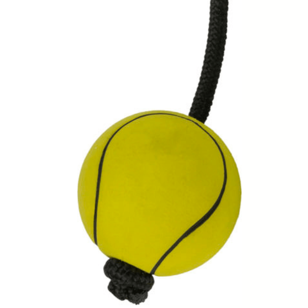 Trixie sport balls