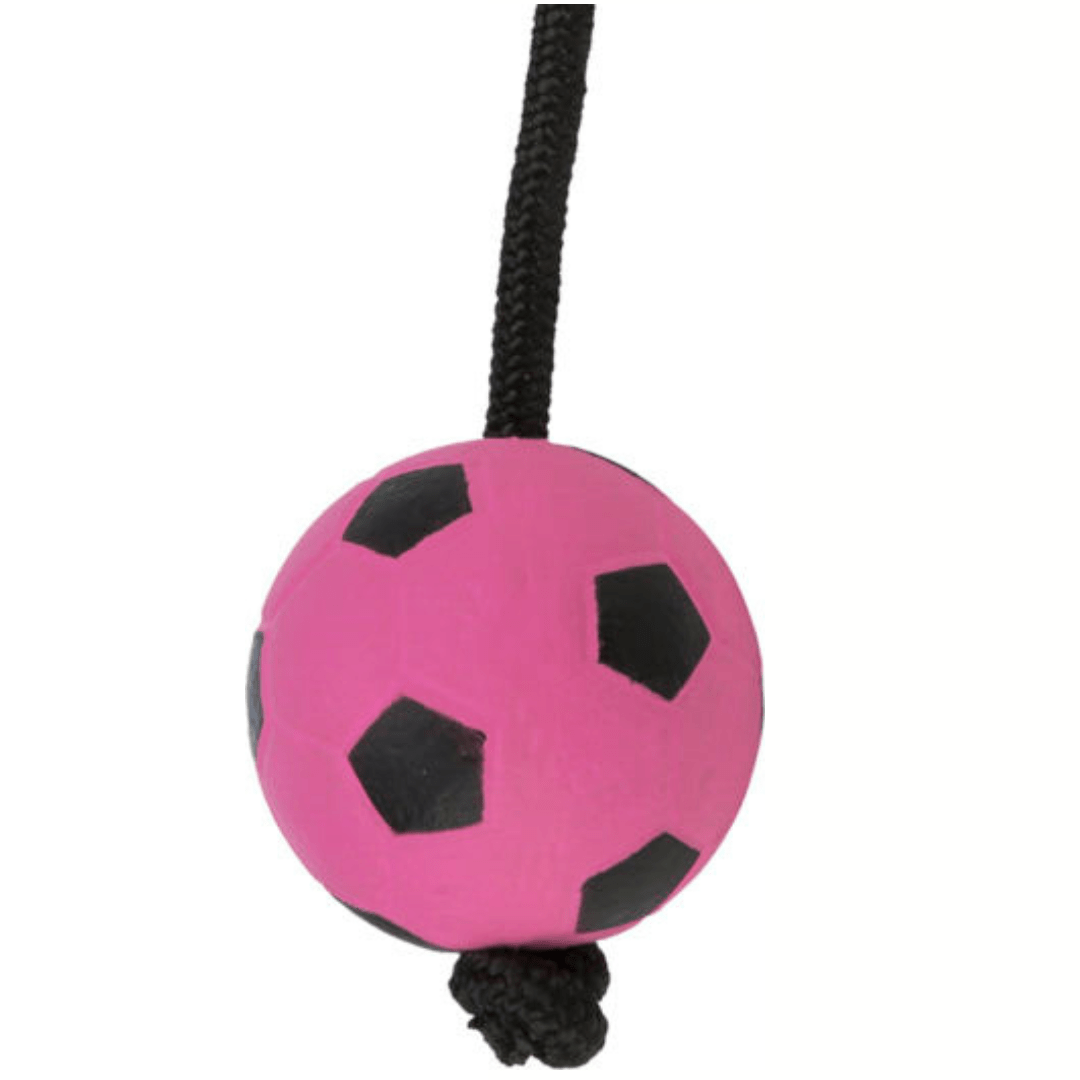 Trixie sport balls
