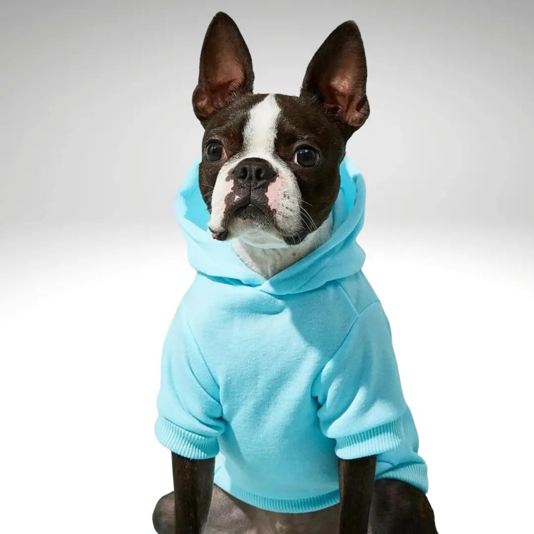 Snuggle Muttzzz Warm Dog Jersey with Hoodie