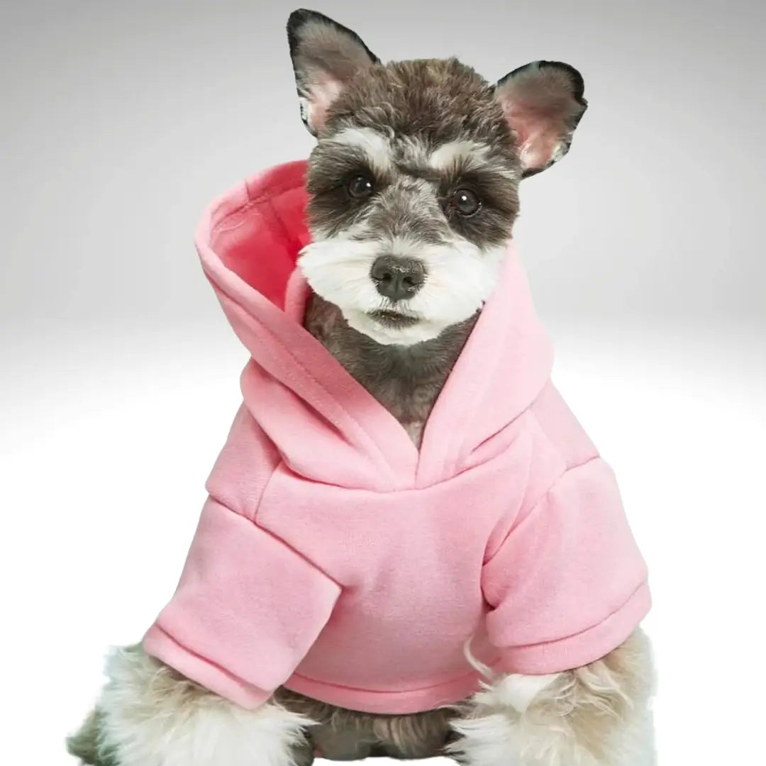Snuggle Muttzzz Warm Dog Jersey with Hoodie