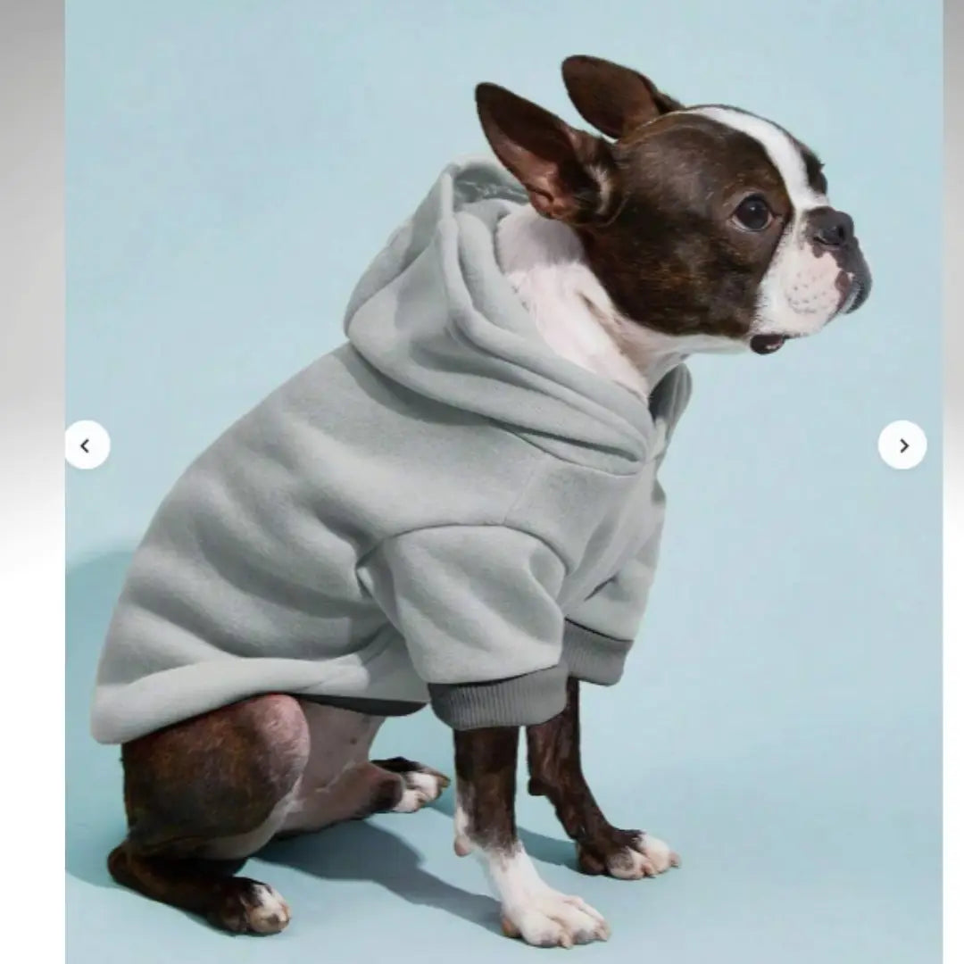 Snuggle Muttzzz Warm Dog Jersey with Hoodie