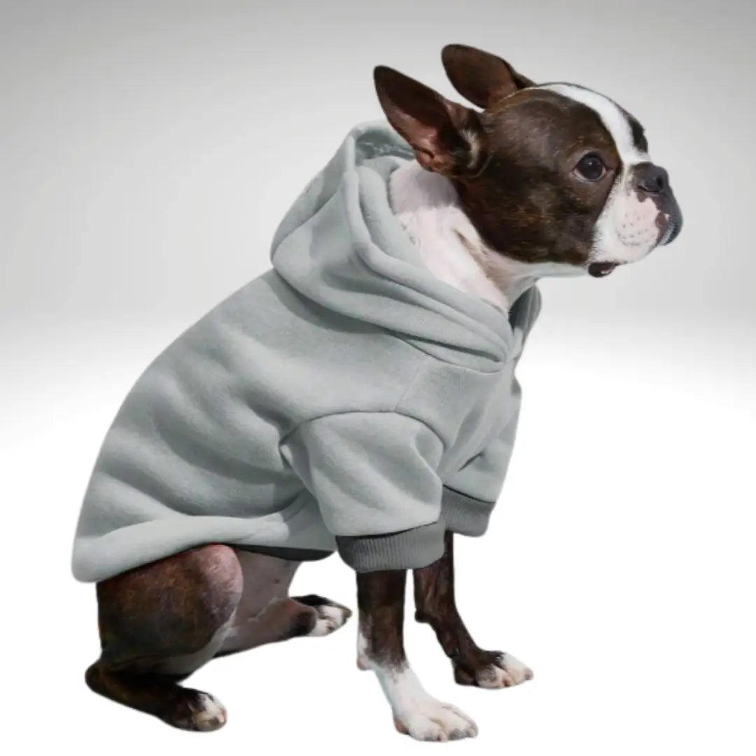 Snuggle Muttzzz Warm Dog Jersey with Hoodie
