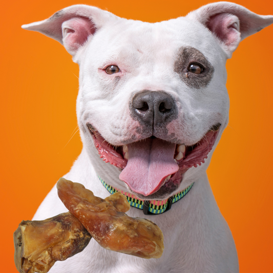 Beef Drumsticks (medium)