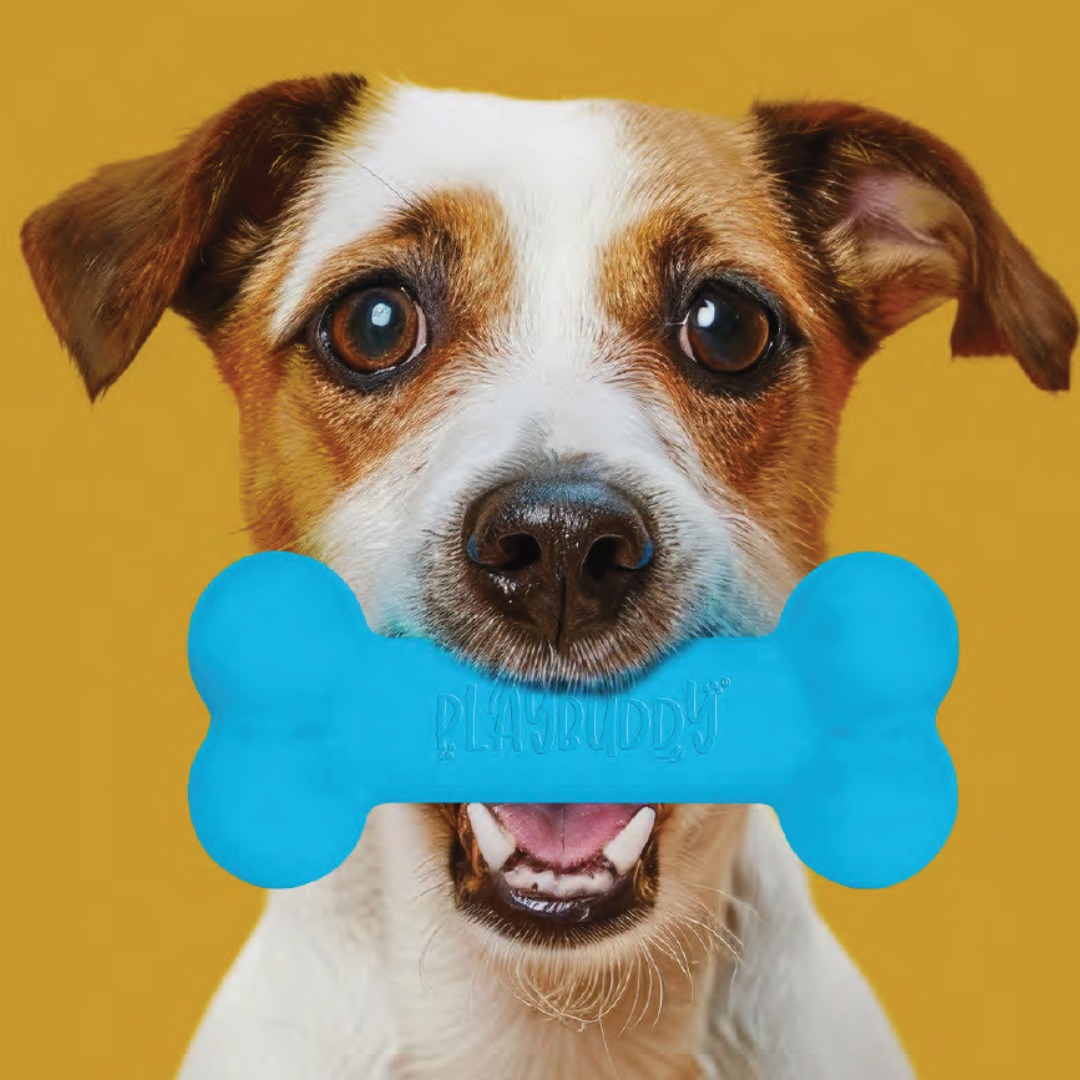 PlayBuddy Rubber Bone – for dogs who love to chew and fetch (S/M/L)