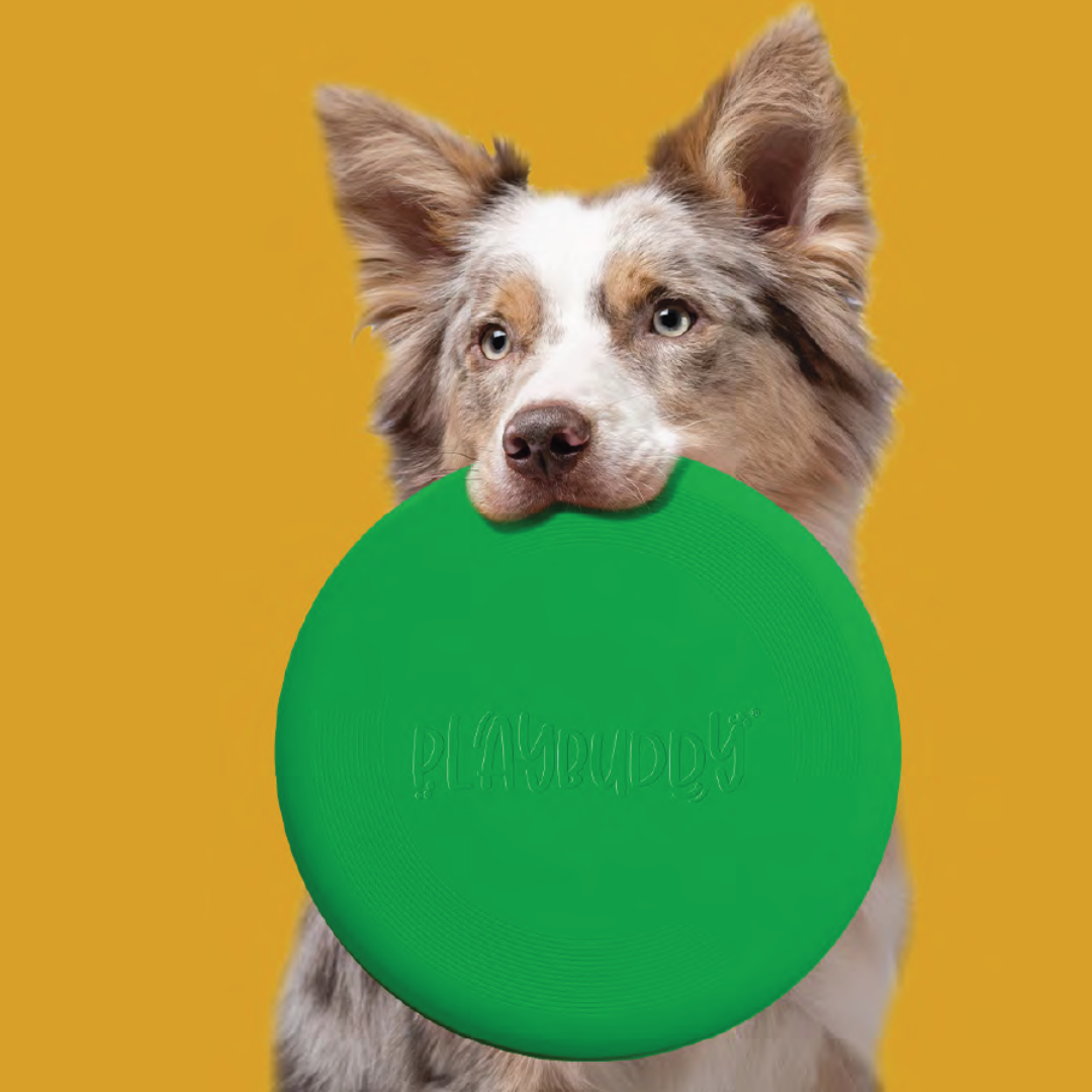 PlayBuddy Rubber Frisbee – for dogs that live to leap and fetch (S/L)