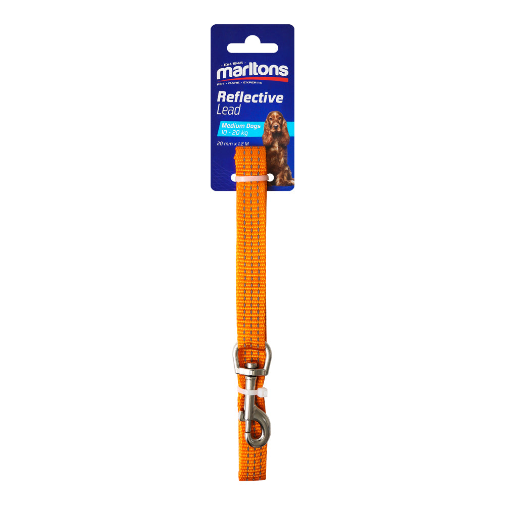 Reflective Lead 20Mm - Orange