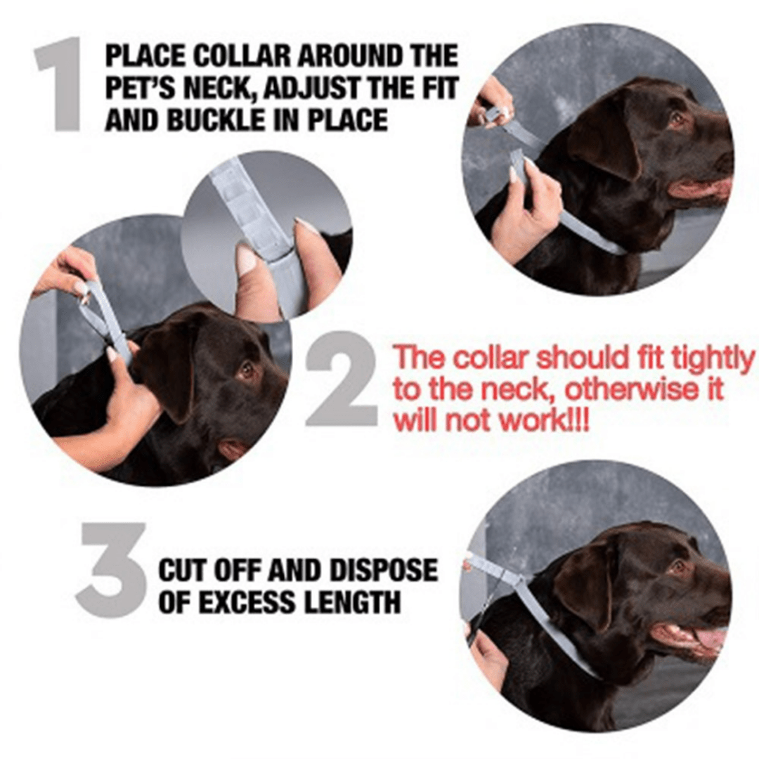 Calming Pheromone Collars for Dogs