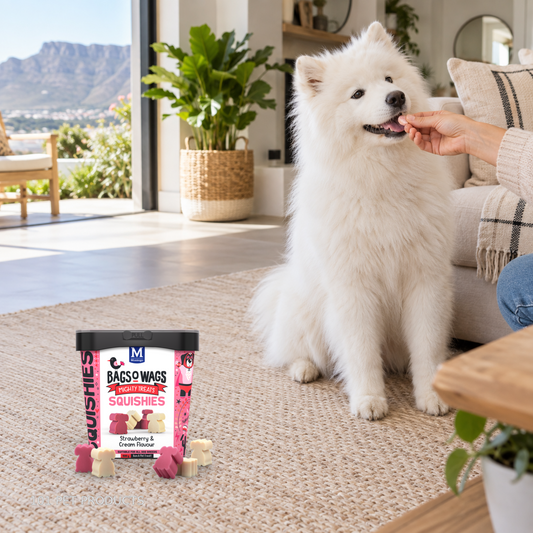 Bags O' Wags Squishies - Strawberry & Cream lifestyle image