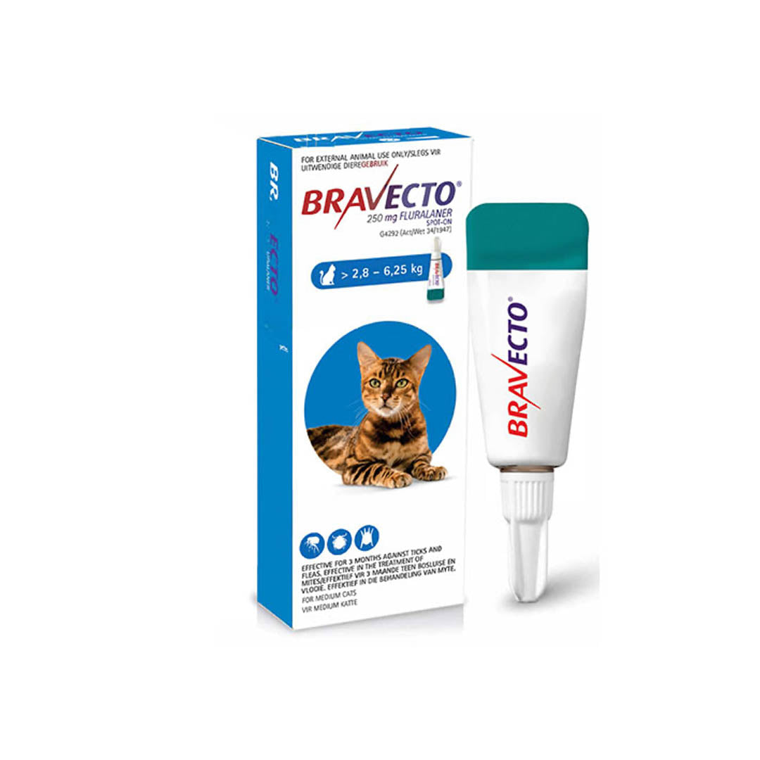 Bravecto® Spot-On for Cats (Medium >2.8–6.25kg