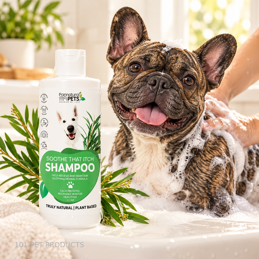 Pannatural Pets Soothe That Itch Shampoo – 500 ml lifestyle image