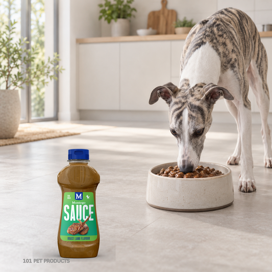 Sauce Sauce for Dogs - Lamb lifestyle image