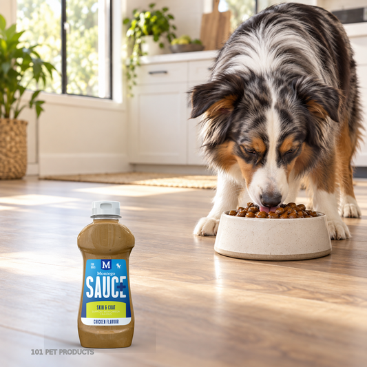 Sauce Sauce for Dogs Plus - Skin & Coat lifestyle image