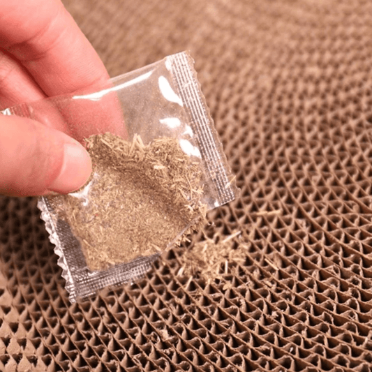 Pawise Round Scratch & Play Cardboard Cat Scratcher