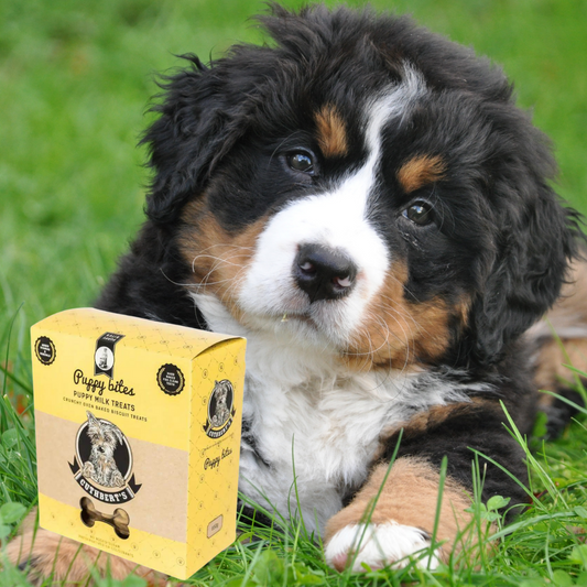 Cuthbert's Puppy Milk Biscuits 650g