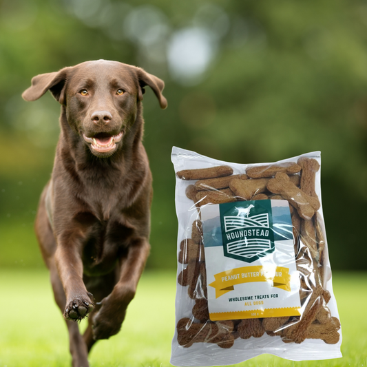 Houndstead Peanut Butter Biscuits 500g