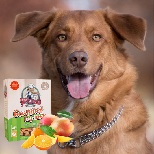 Montgomery’s Mango & Orange Biscuits 1kg