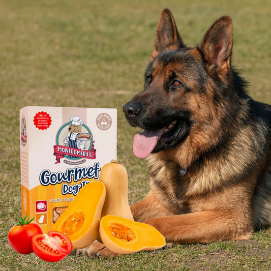 Montgomery’s Spanish Tomato & Butternut Biscuits 1kg
