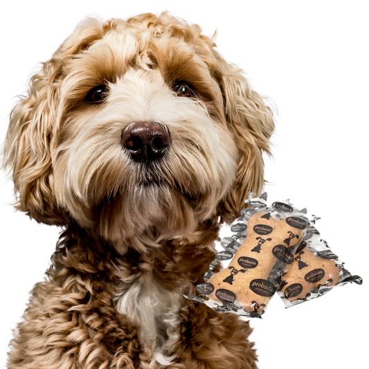 Pro Bono Biscuits 45g (singles)