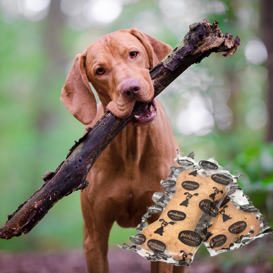 Pro Bono Biscuits 80g (singles)