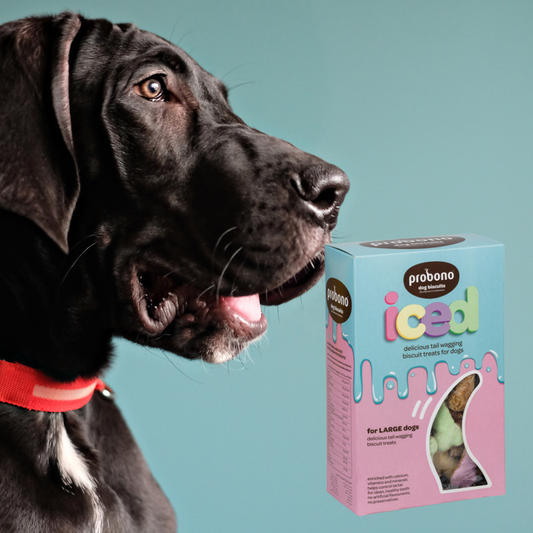 Pro Bono Iced Biscuits for Large Dogs 1kg