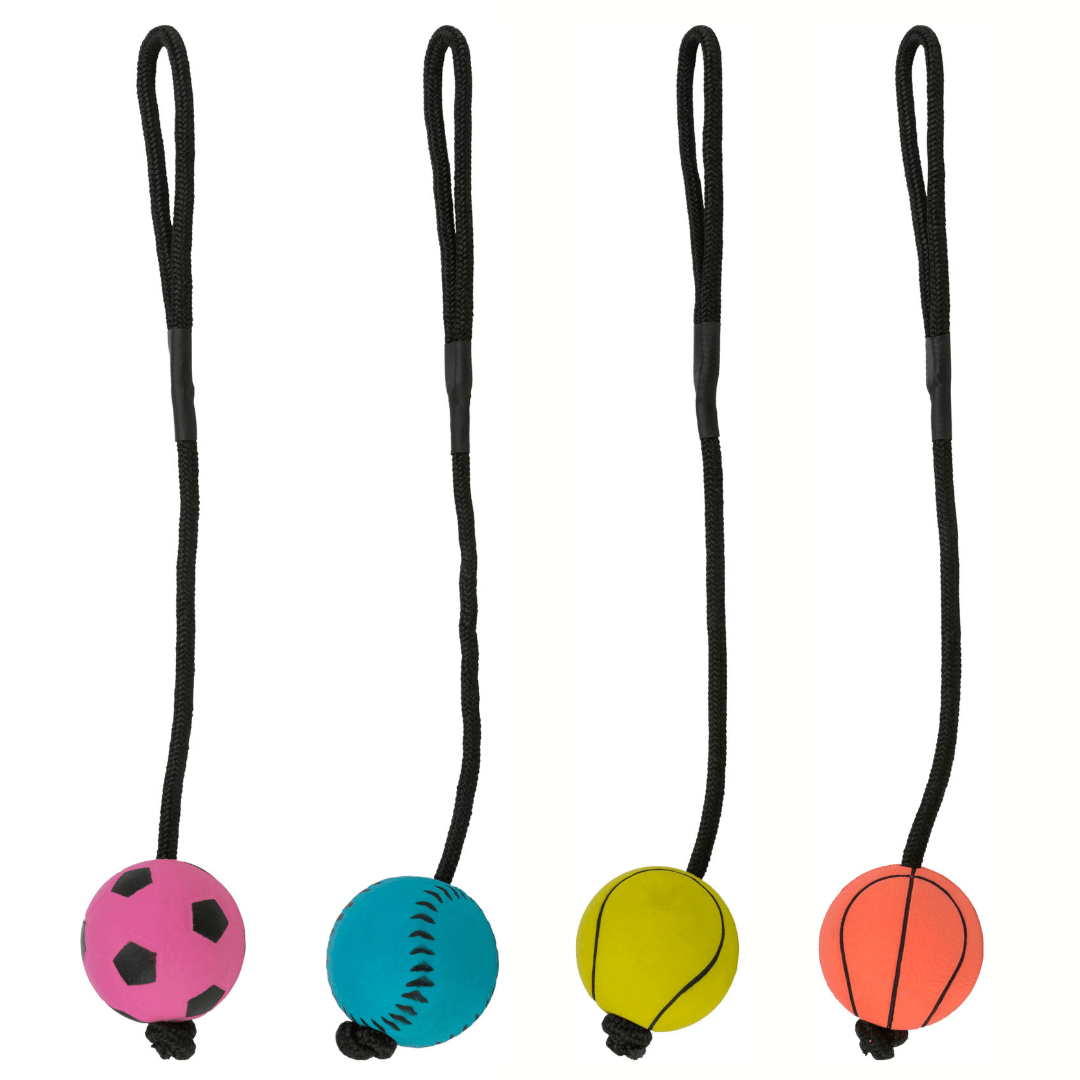 Trixie sport balls