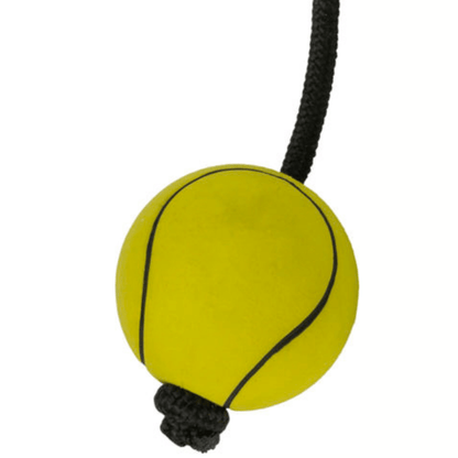 Trixie sport balls