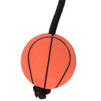 Trixie sport balls