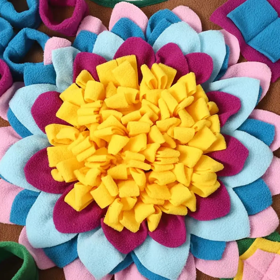 Rainbow Snuffle Mat + Pouch of Cuthbert’s Mini Bone Treats