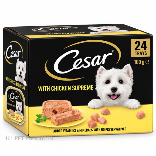 Cesar Gourmet Chicken Wet Dog Food – Box of 24 × 100 g