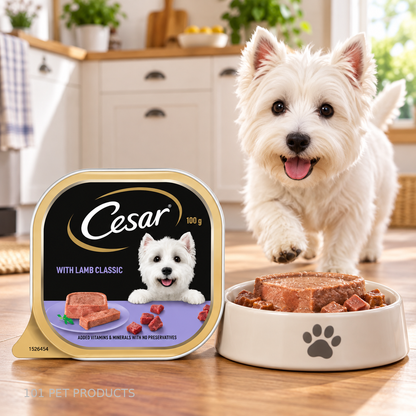Cesar Gourmet Lamb Wet Dog Food – Box of 24 × 100 g lifestyle image