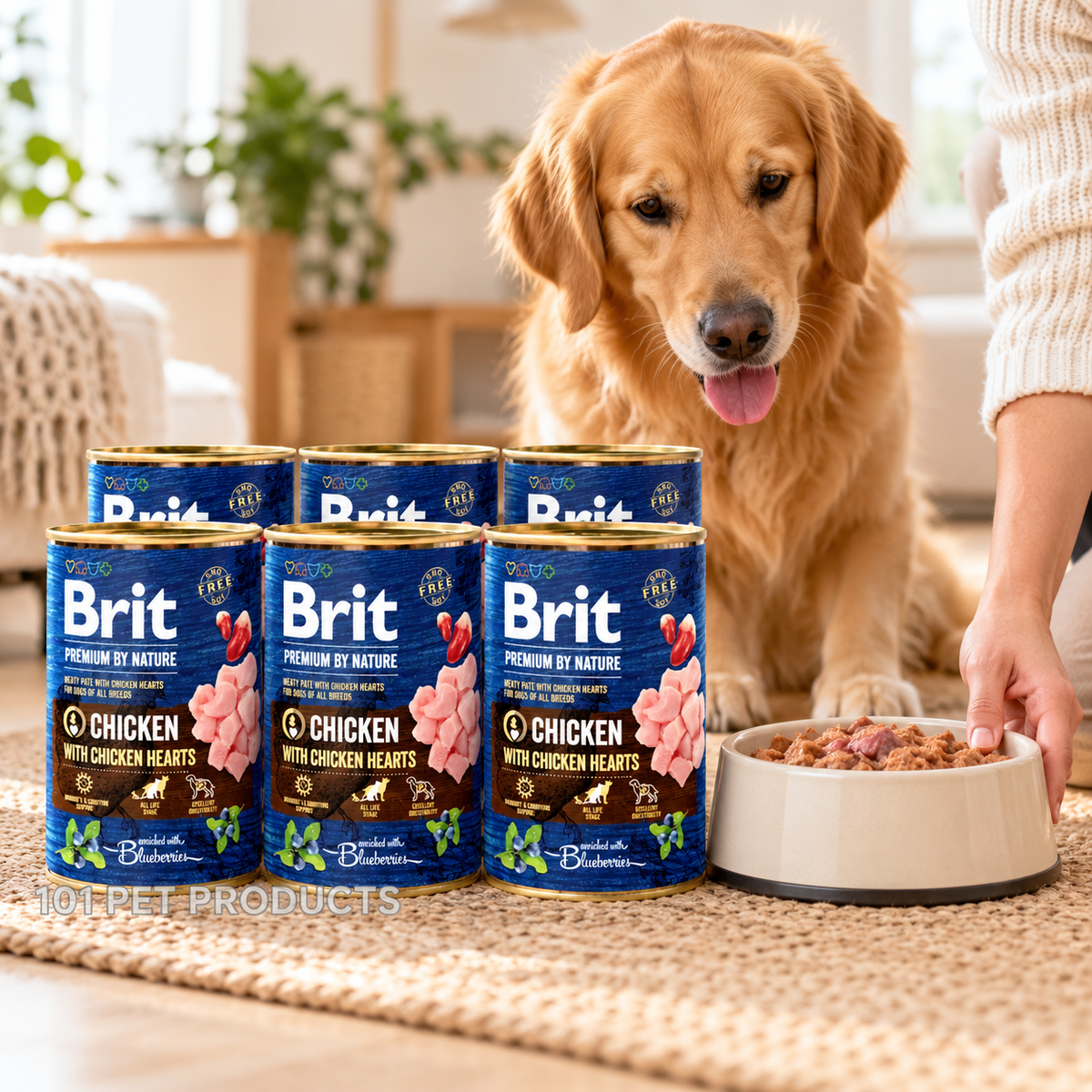 Brit Premium Dog Wet Food - Chicken with Hearts (6 × 400 g) lifestyle image