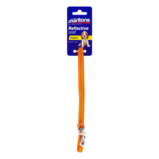 Puppy Lead 150Cm 10Mm Width  Orange