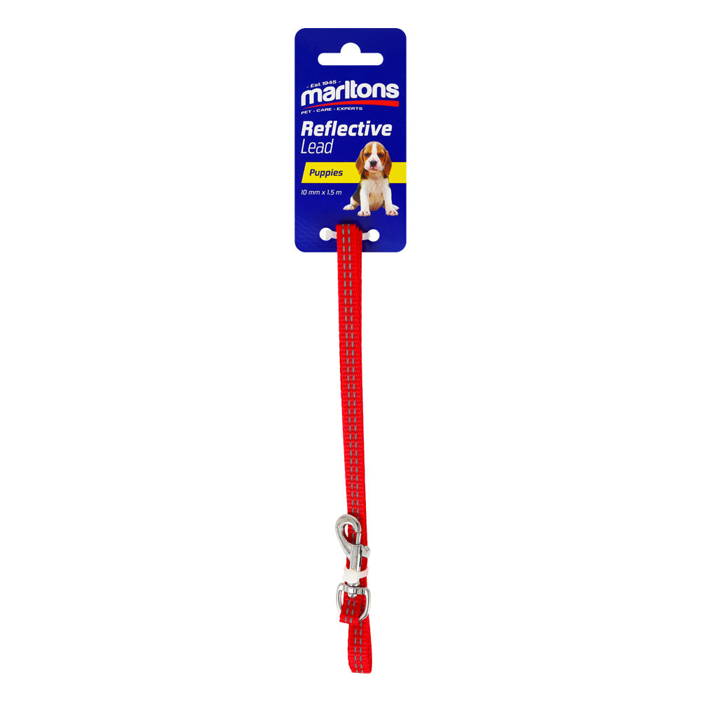 Puppy Lead 150Cm 10Mm Width  Red