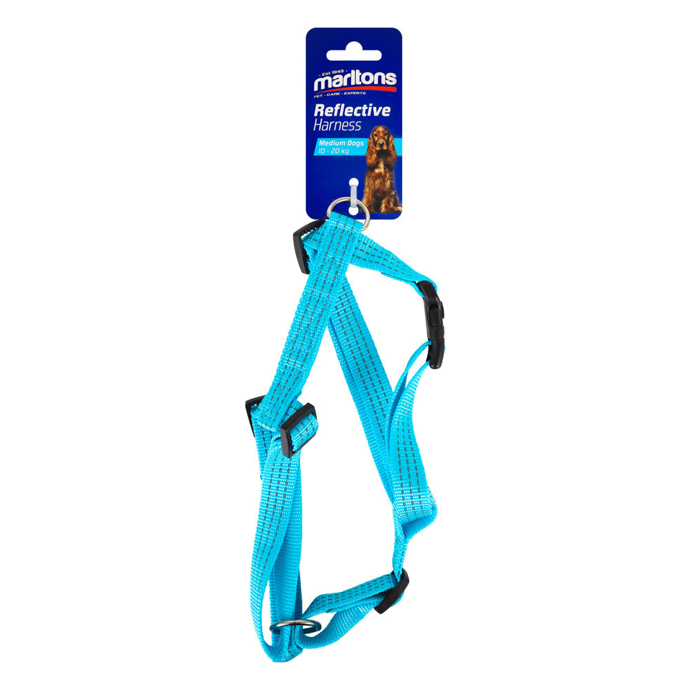 Reflective Harness 20Mm - Blue