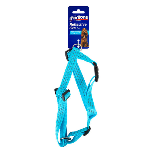 Reflective Harness 20Mm - Blue