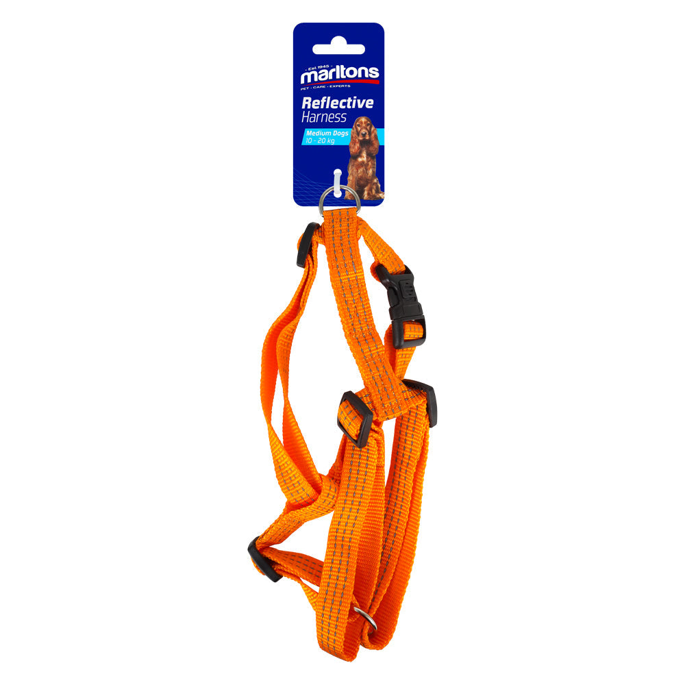 Reflective Harness 20Mm - Orange