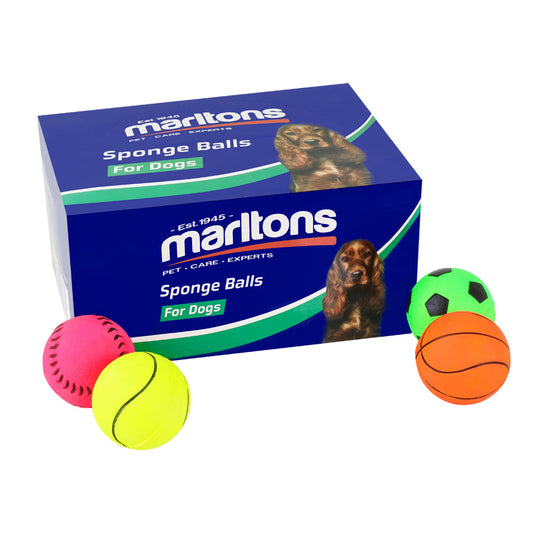 Box Of Sponge Balls 63Mm 24'S