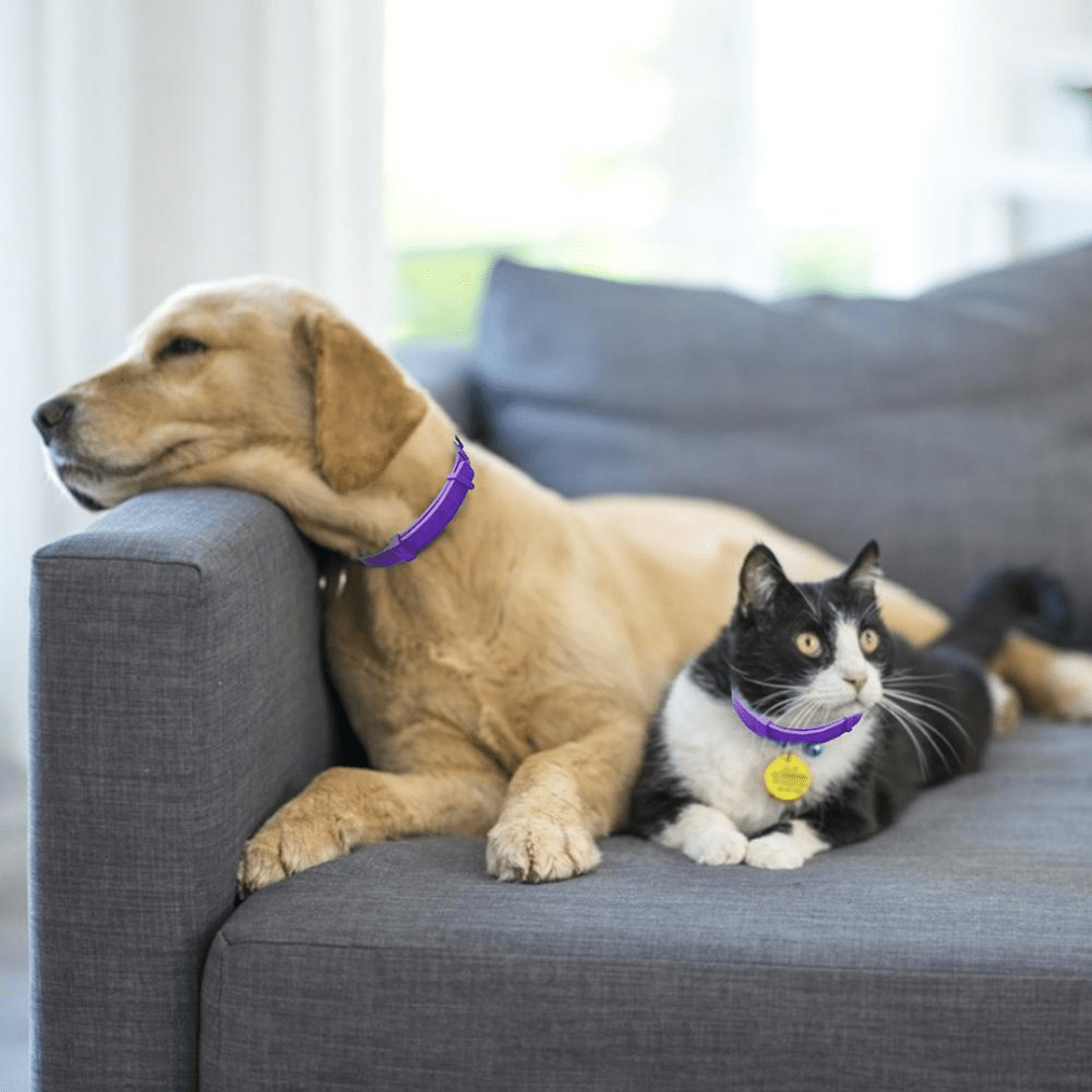 Calming Pheromone Collars for Dogs - 3pack