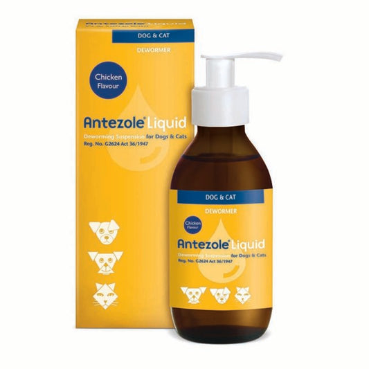 Antezol - Dog and Cat Dewormer 100ml (Chicken flavour)