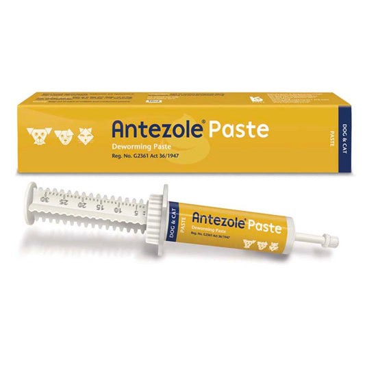 Antezol - Dog and Cat Dewormer 30ml Paste