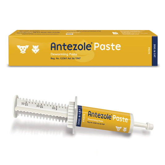 Antezol - Dog and Cat Dewormer 15ml Paste
