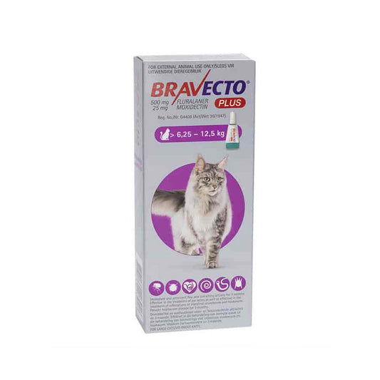 Bravecto® Plus Spot-On for Cats