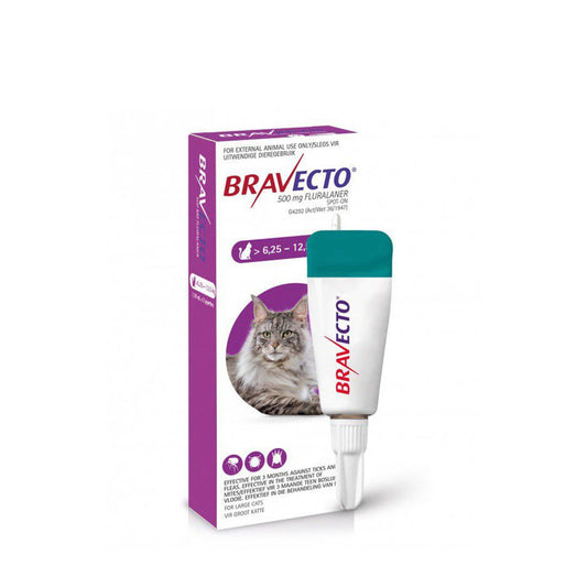 Bravecto® Spot-On for Cats (Large >6.25–12.5kg)