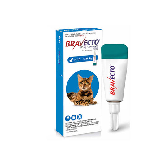 Bravecto® Spot-On for Cats (Medium >2.8–6.25kg