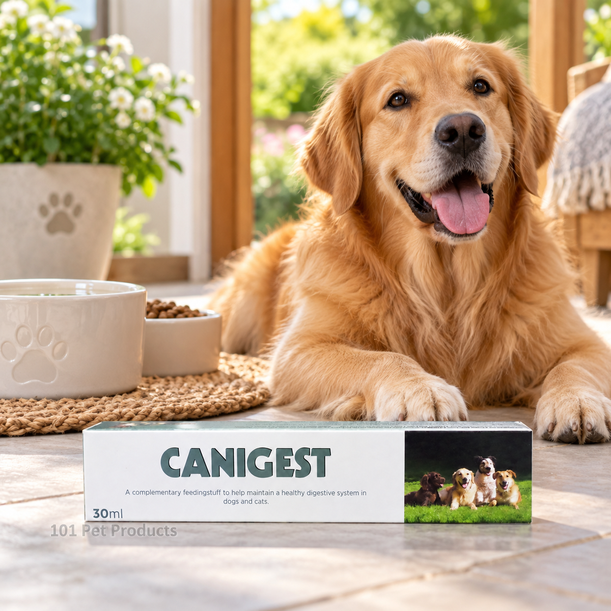 Canigest Digestive Support Paste for Dogs & Cats (30 ml)