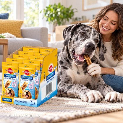 Pedigree DentaStix Large Dog Dental Treats – Box of 10 × 7 Sticks lifestyle image