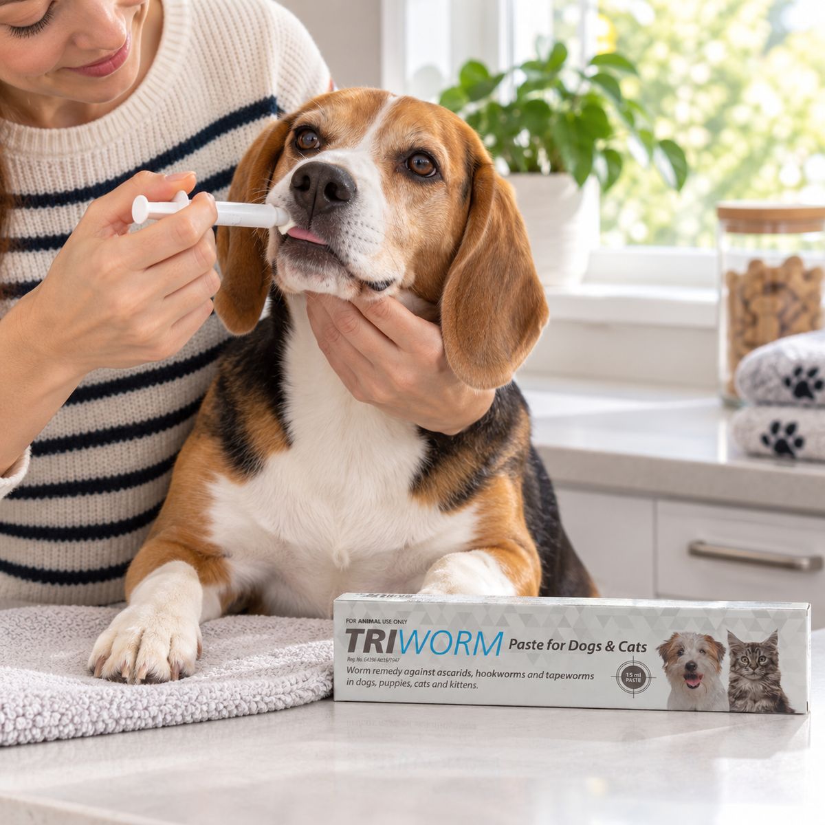 Triworm Paste for Dogs & Cats (15 ml) lifestyle image