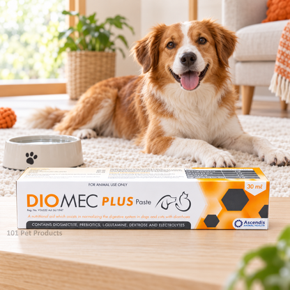 Diomec Plus Digestive Support Paste for Dogs & Cats (30 ml)