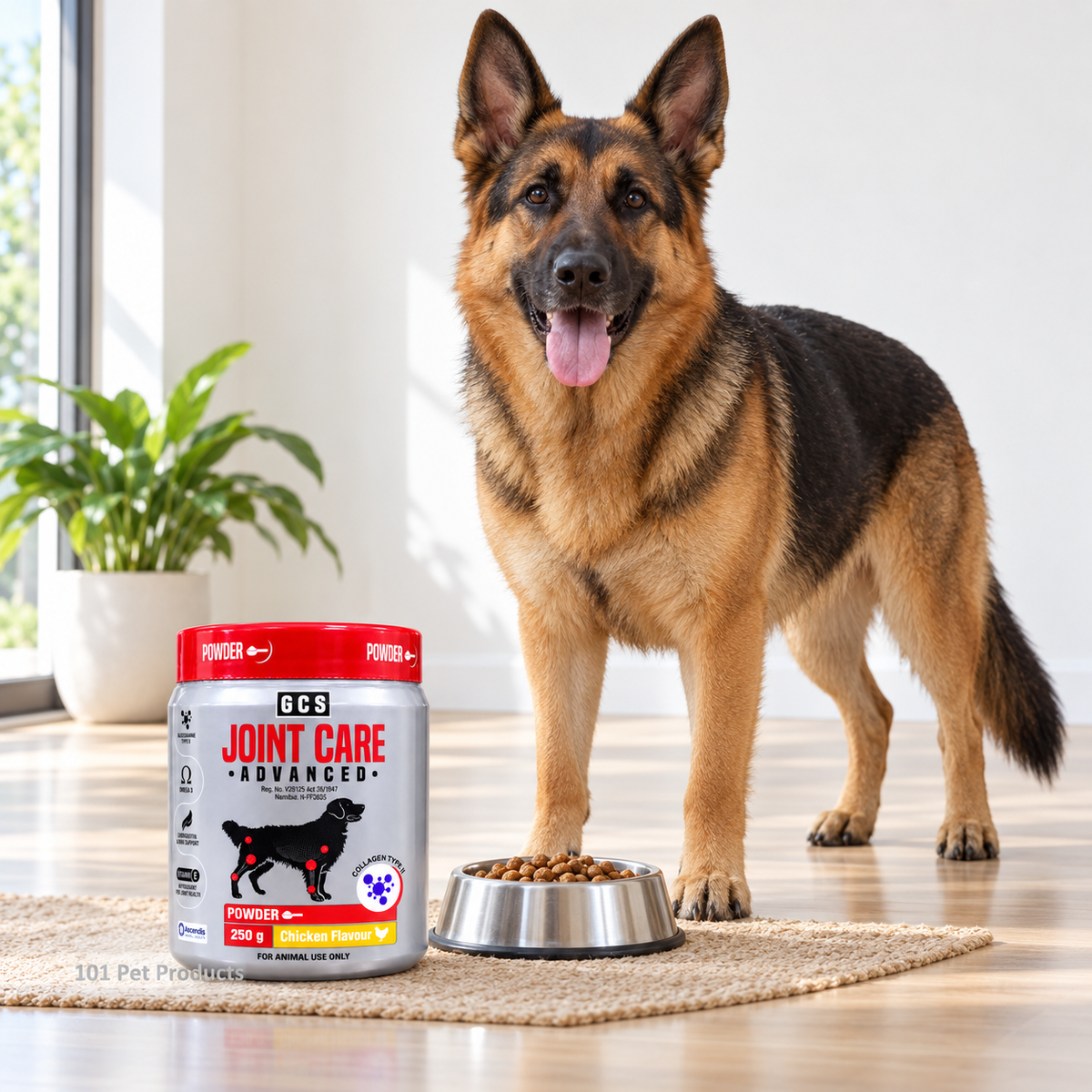 GCS Advanced Joint Care Powder for Large Dogs – Chicken Flavour (250 g)