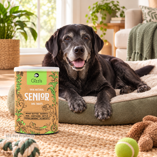 Gizzls Senior Dog Biscuits (180 g)